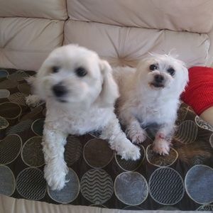 Meet your Posher, Ana